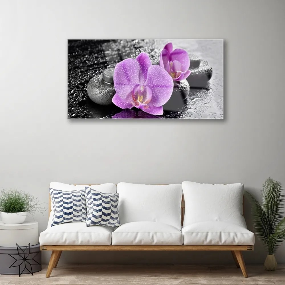 Skleneny obraz Orchidea kvety kamene zen 120x60 cm