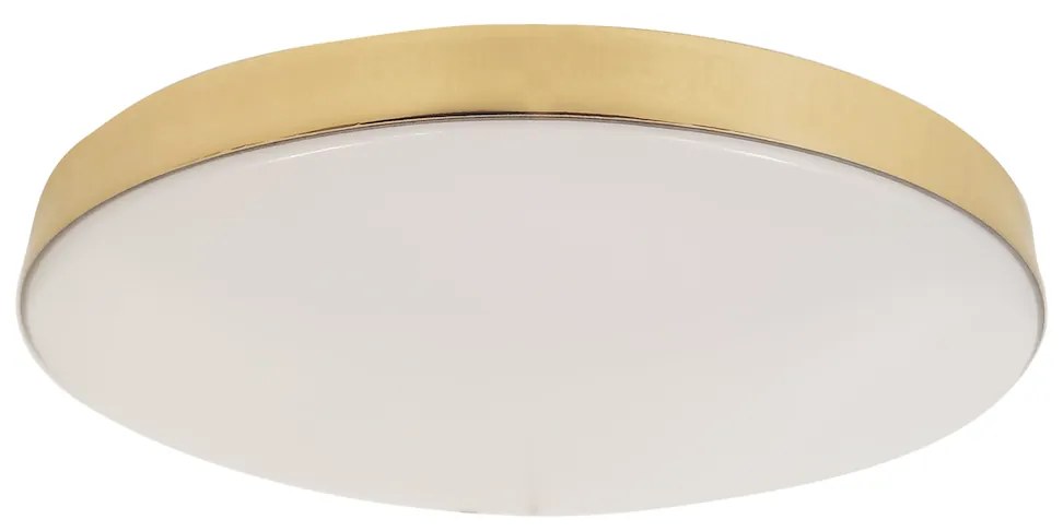 Stropné LED svietidlo Maya, 1x LED 15w, 4000k, g