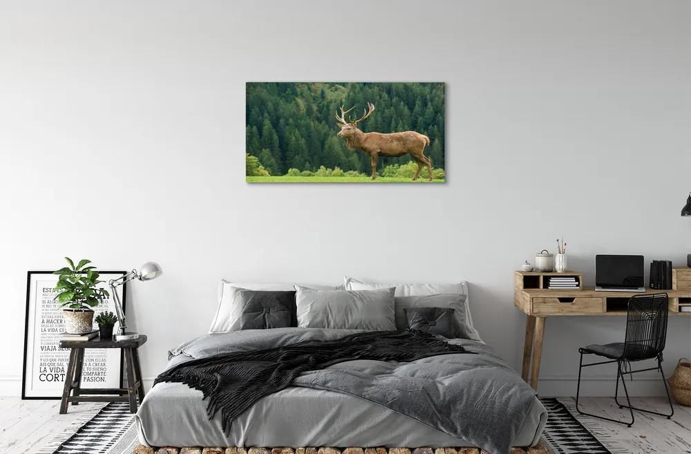 Obraz na plátne Jeleň v poli 125x50 cm