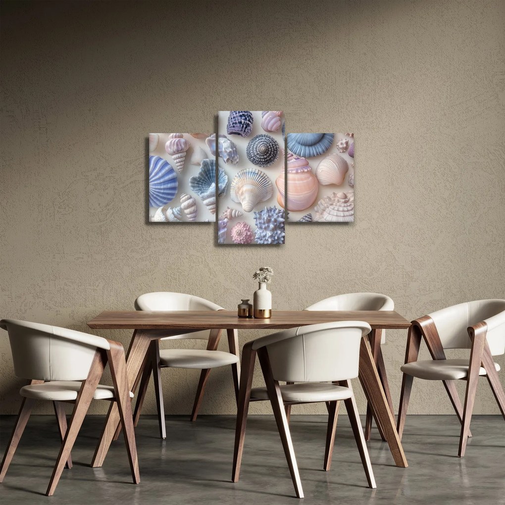 Obraz - Zbierka mušlí (90x60 cm)