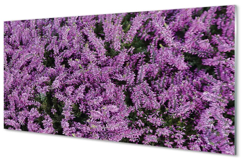 Obraz plexi Fialové kvety 100x50 cm