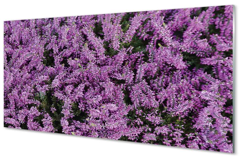 Obraz plexi Fialové kvety 125x50 cm