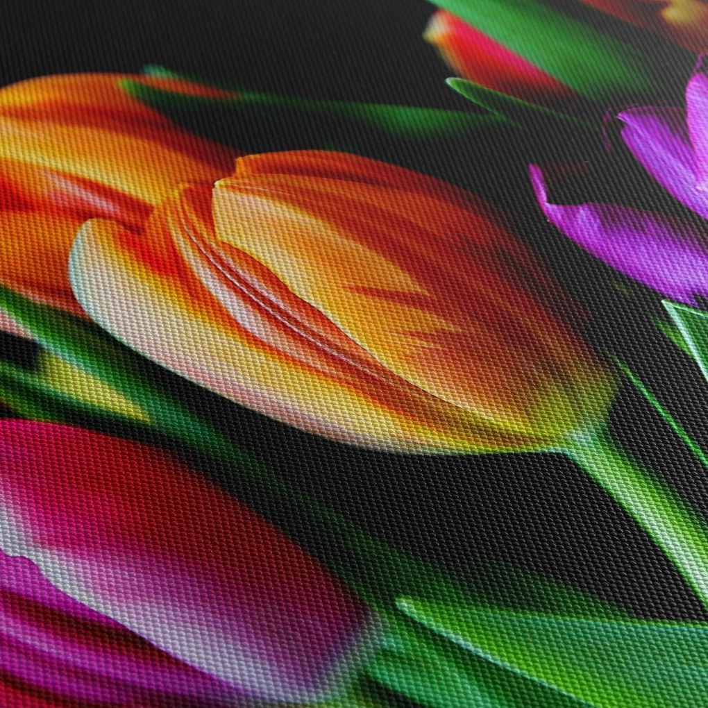 Obraz tulipánov na čiernom pozadí (120x50 cm)