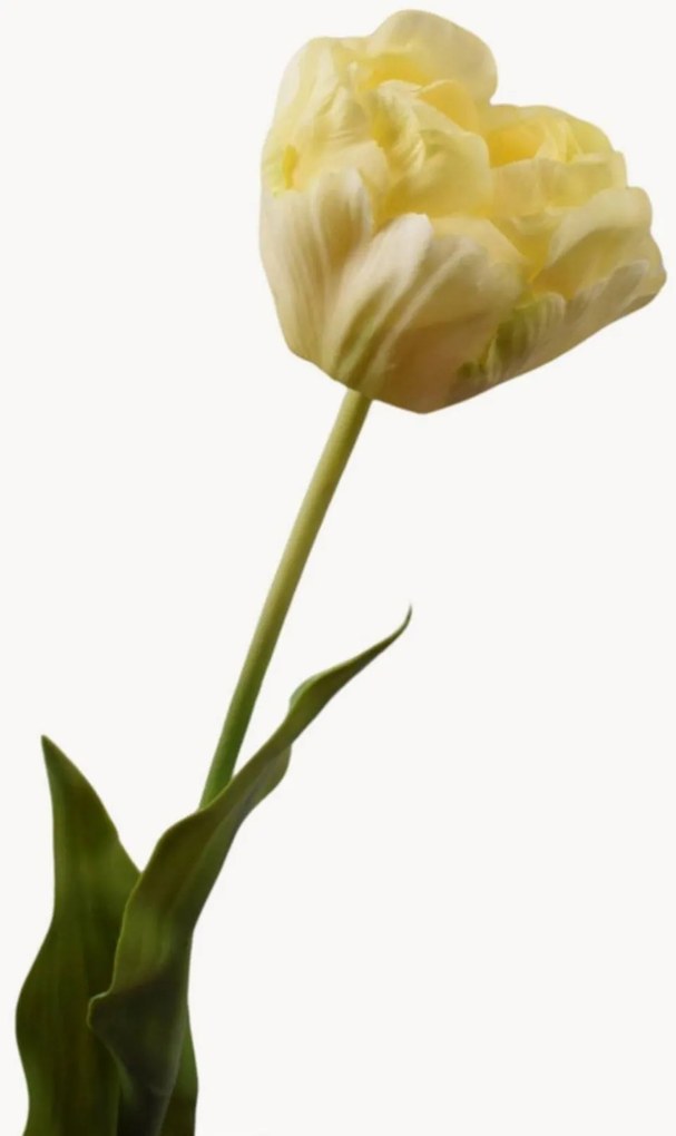 Rastlinné dekorácie Tulip, 2 ks