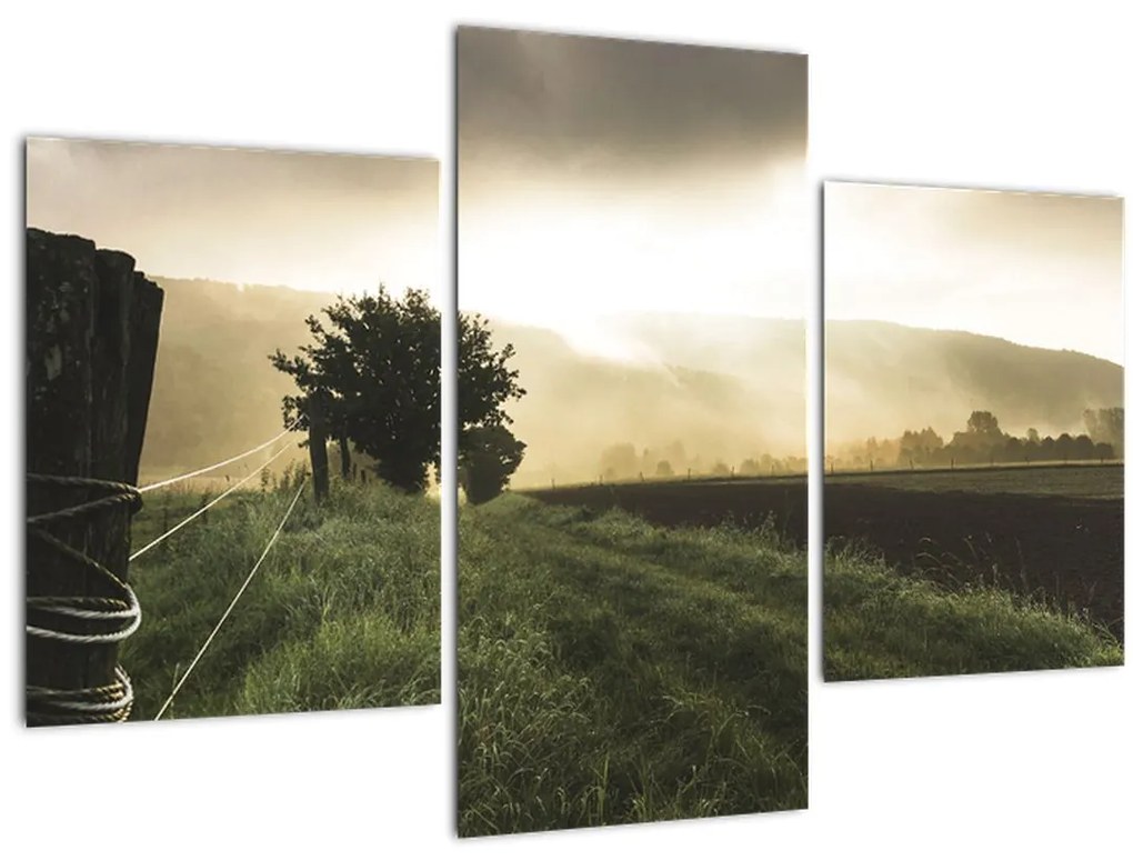 Obraz lúky (90x60 cm)