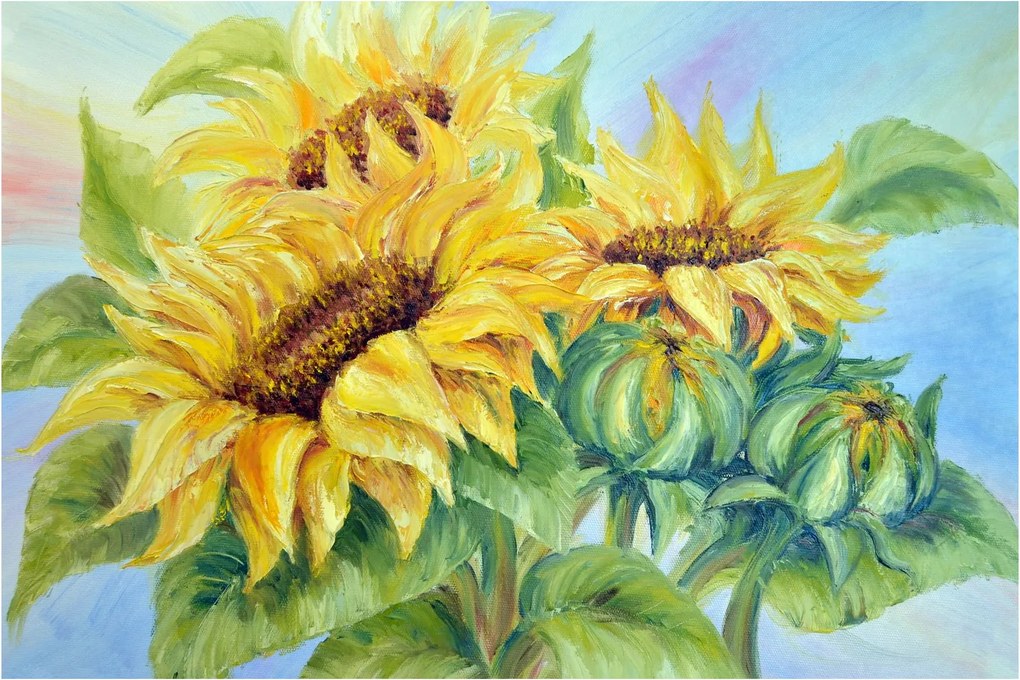 Obraz rozkvitnutých slnečníc (90x60 cm)