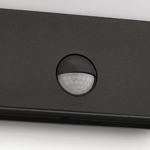 Philips 17274/93/16-LED Vonkajšie svietidlo so senzorom RACCOON 1xLED/3W/230V IP44