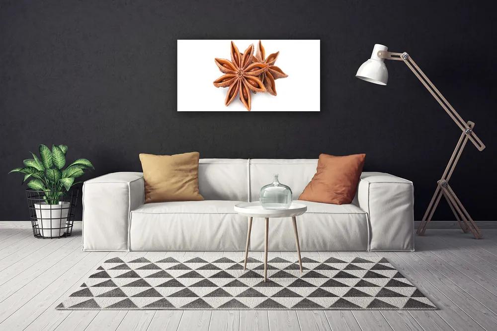 Obraz Canvas Aníz hviezda príprava 125x50 cm