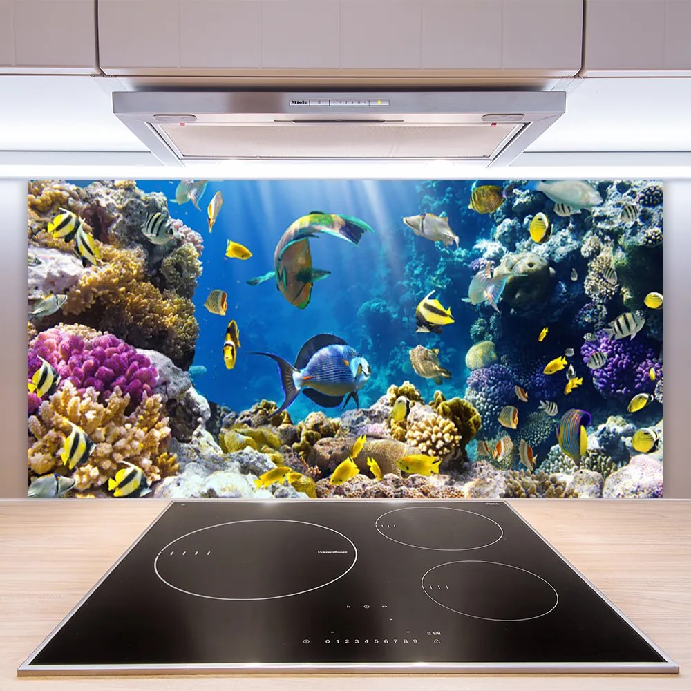 Nástenný panel  Koralový útes príroda 125x50 cm