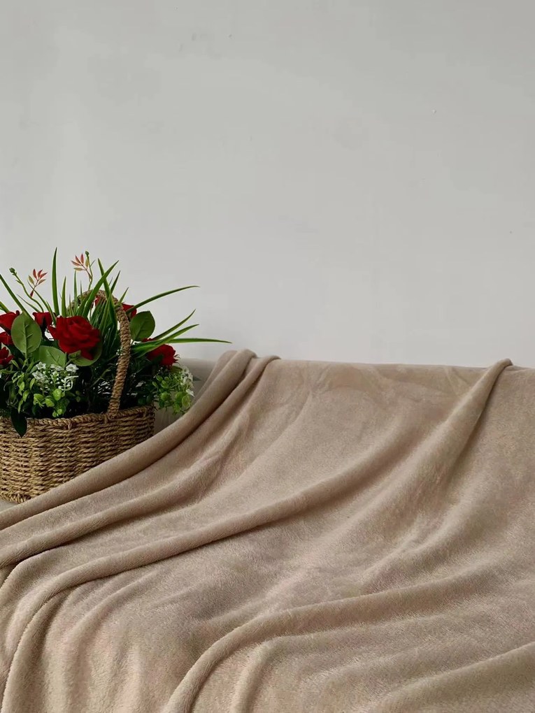 Mikroplyšová deka SOFT, béžová Rozmer: 200 x 220 cm