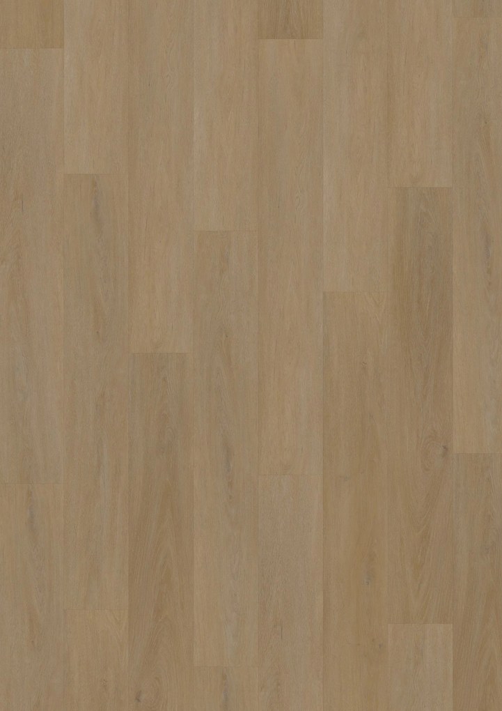 Oneflor, Vinylová podlaha lepená ECO 55 064 English Oak Honey, 1219,2 x 184,1 mm