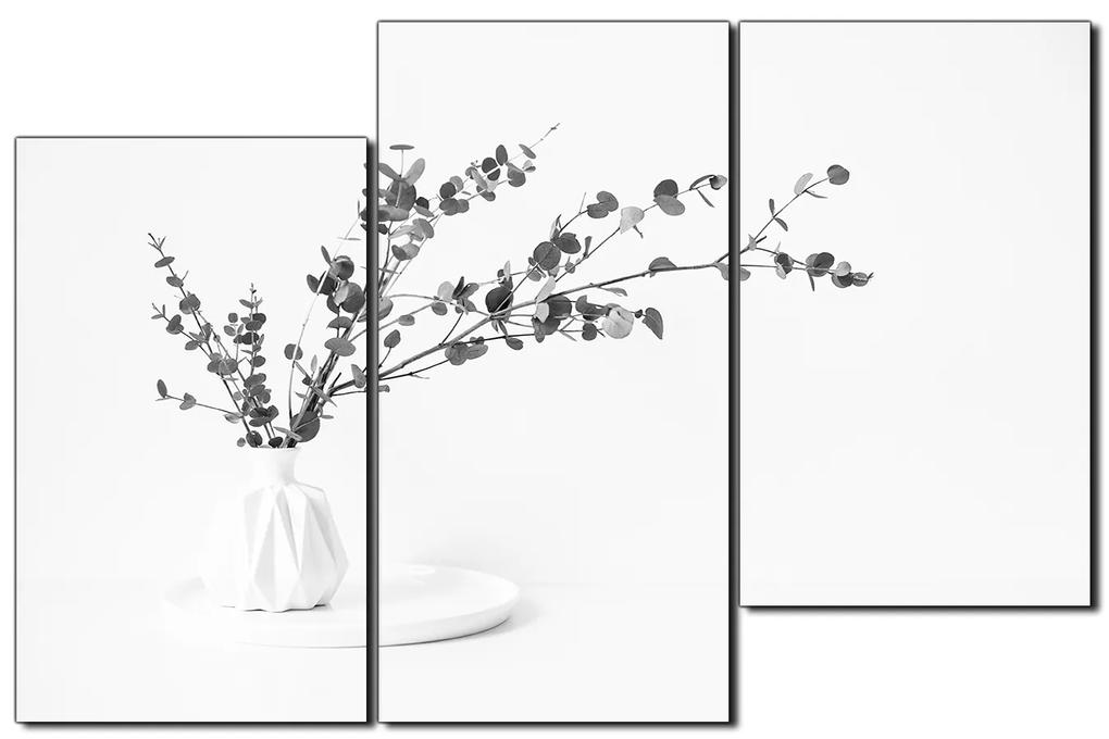 Obraz na plátne - Vetva eukalyptu v bielej váze na bielom pozadí 1272QD (135x90 cm)