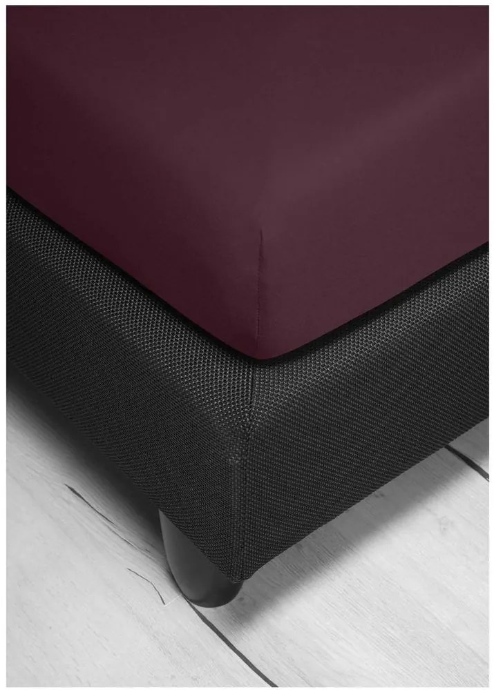 Bierbaum jersey plachta vínová - 180-200 x 200 cm