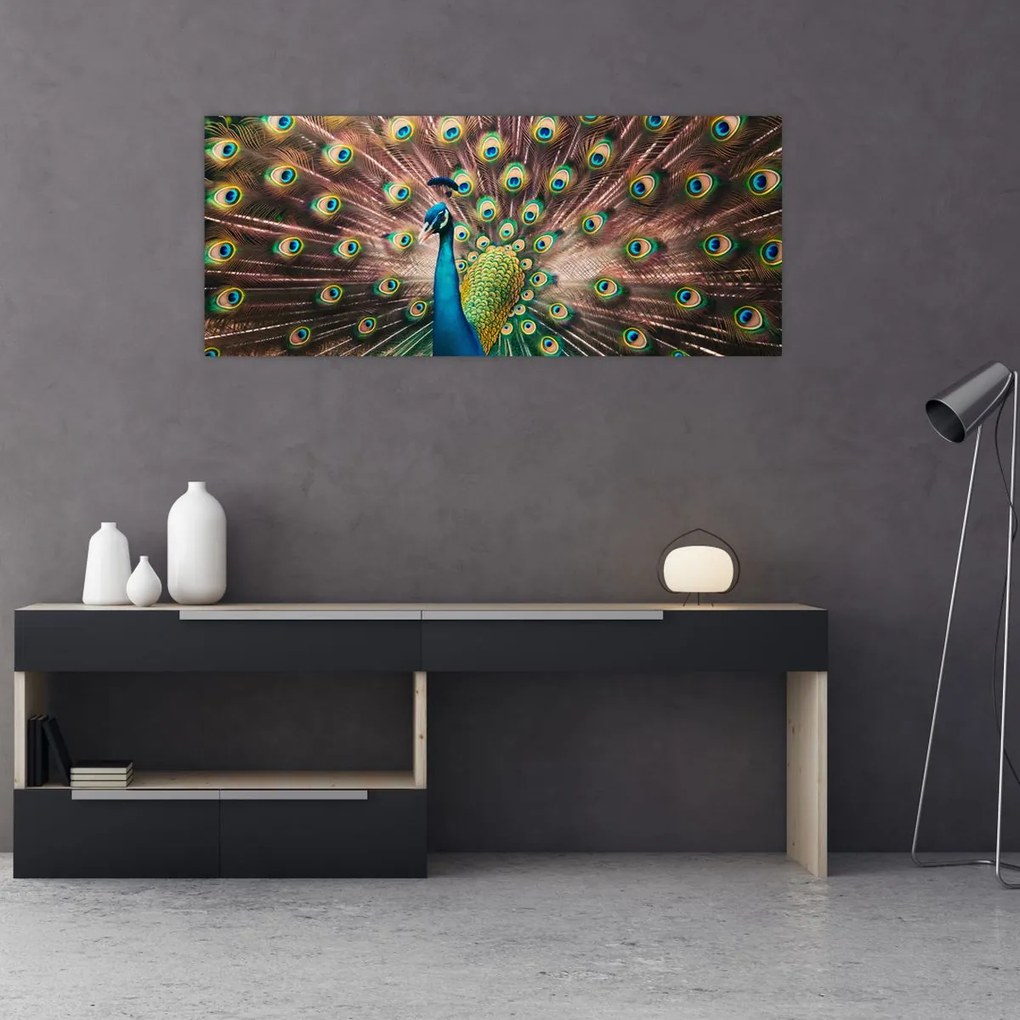 Obraz - Páv (120x50 cm)