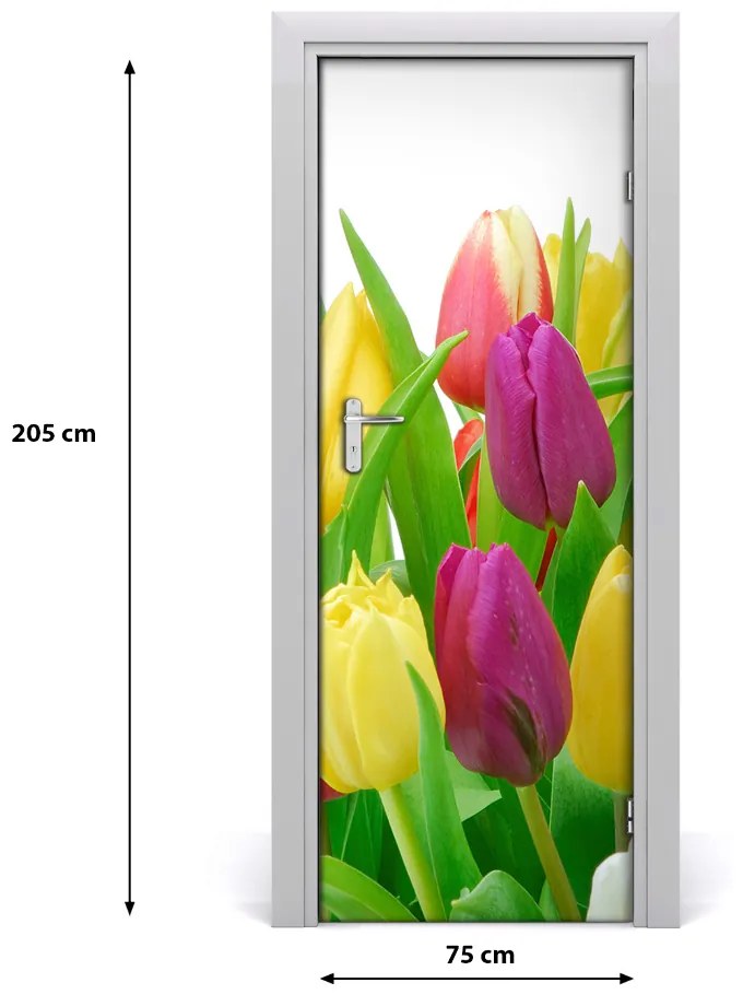 Fototapeta na dvere kvety tulipány 75x205 cm