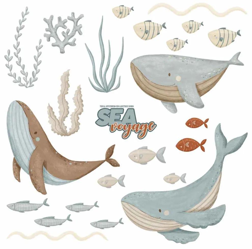 Gario Detská nálepka na stenu Sea voyage - veľryby, morské riasy a rybičky
