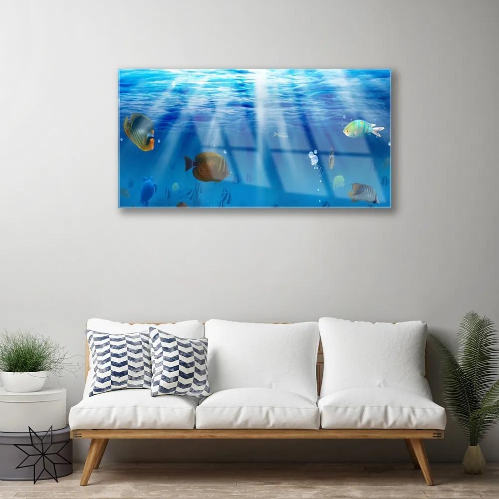 Obraz na akrylátovom skle Ryba príroda 100x50 cm