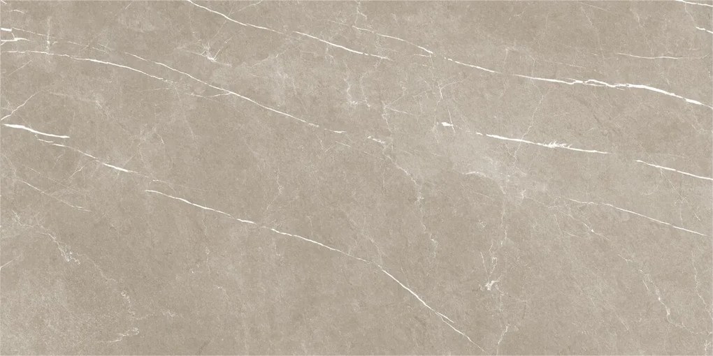 Dlažba Eternal Taupe Pulido 60x120 R