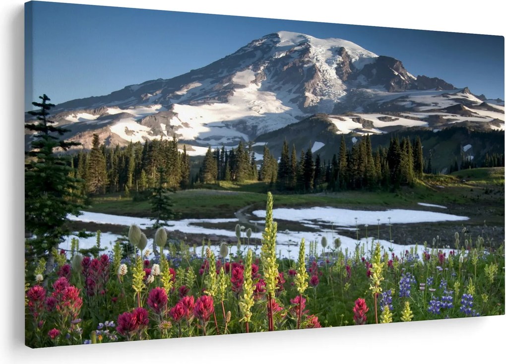 Obraz - Mount Rainier (90x60 cm)