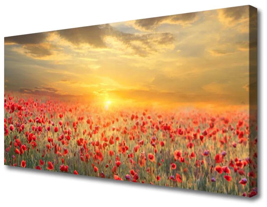 Obraz Canvas Slnko lúka mak kvety 140x70cm