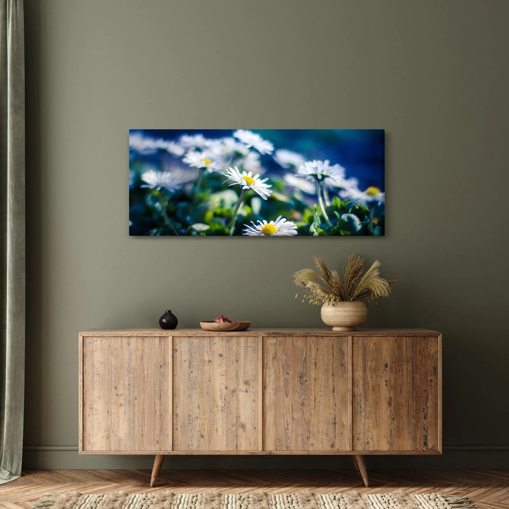 Obraz sedmokrások (120x50 cm)
