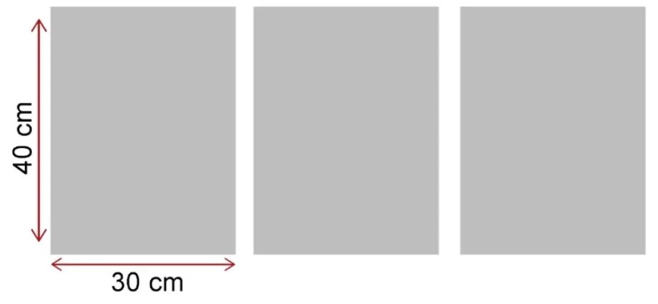Súprava obrazov KAPRADINA 94 x 40 cm 3 kusy