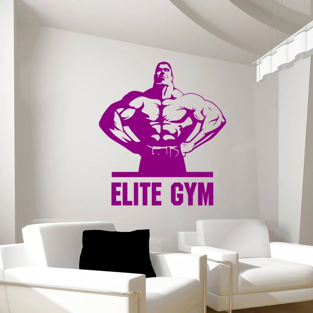 Veselá Stena Samolepka na stenu na stenu Elite Gym Farba: černá