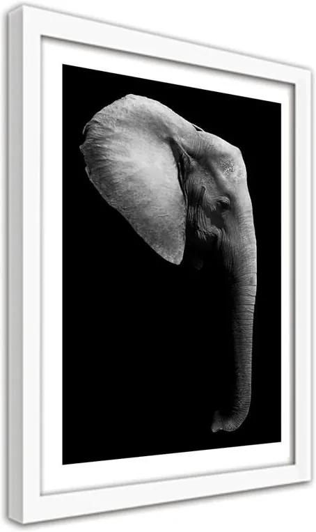 CARO Obraz v ráme - Elephant In Black And White Biela 30x40 cm