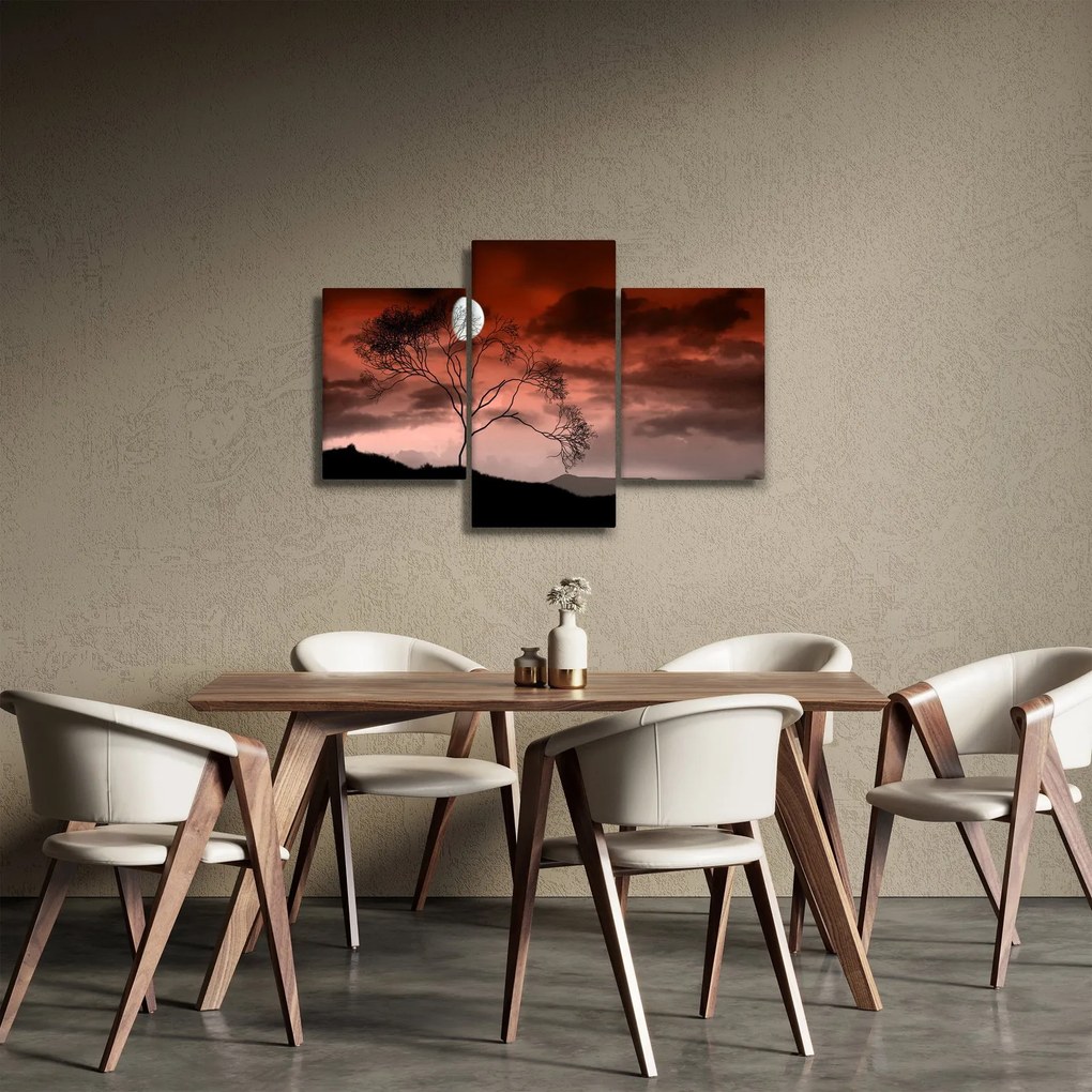 Obraz - Mesiac osvetľujúce noc (90x60 cm)