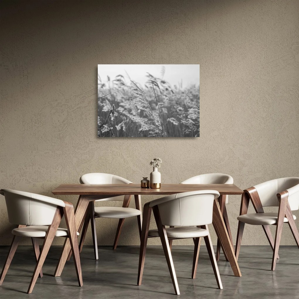 Sklenený obraz - Tráva vo vetre (70x50 cm)