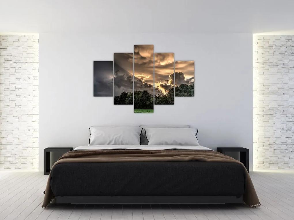 Obraz mračien a lesa (150x105 cm)