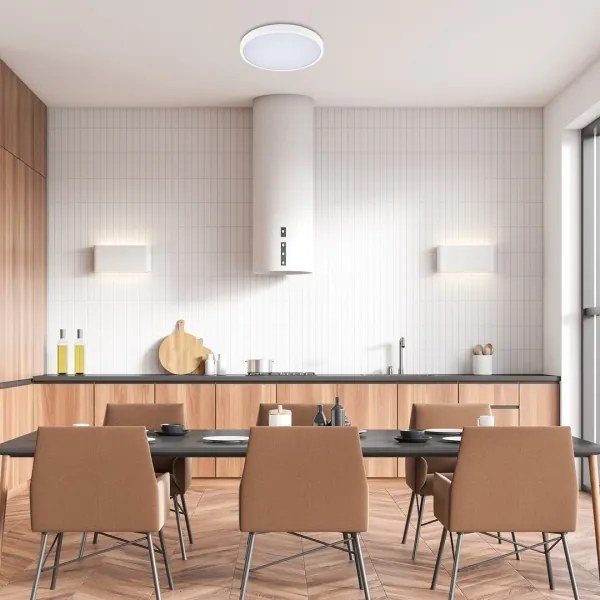 Rabalux 71428-LED Stm. kúp. stropné svietidlo ALENZO LED/24W/230V IP44 biela + DO