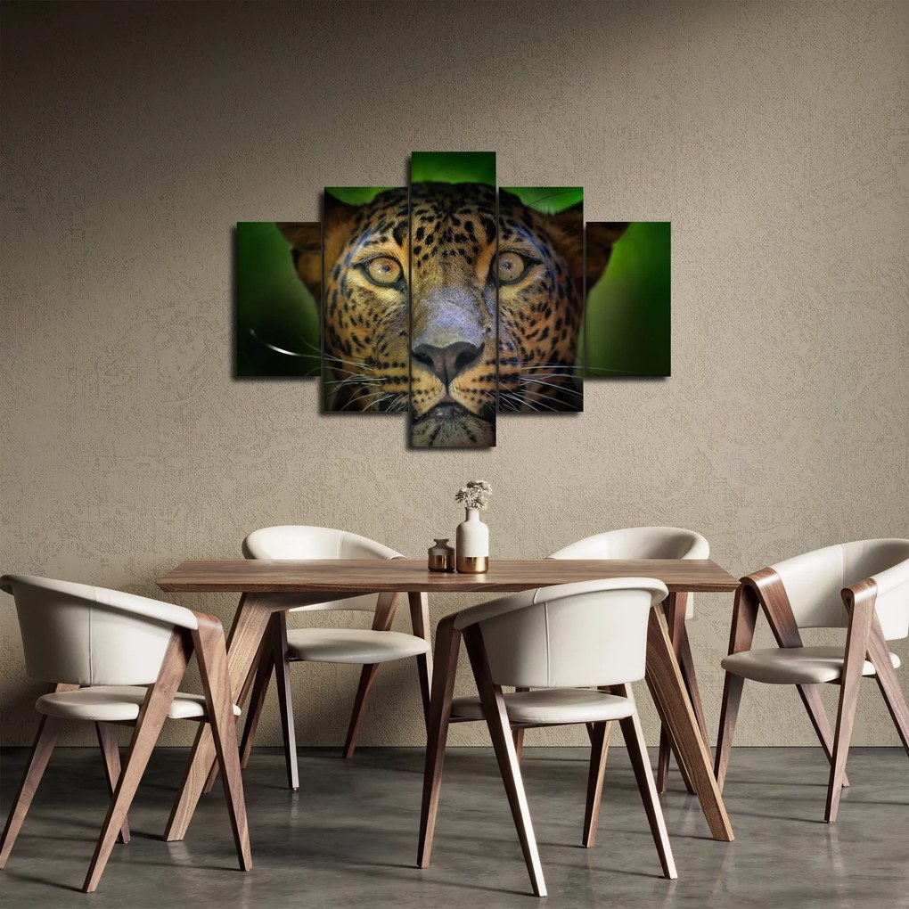 Obraz - Portrét leoparda, Sri Lanka (150x105 cm)