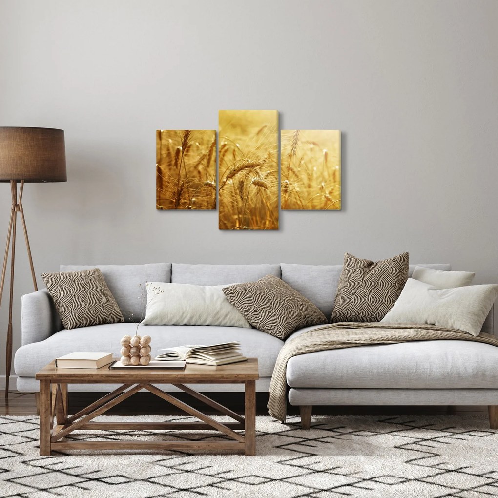 Obraz - Klasy obilia (90x60 cm)