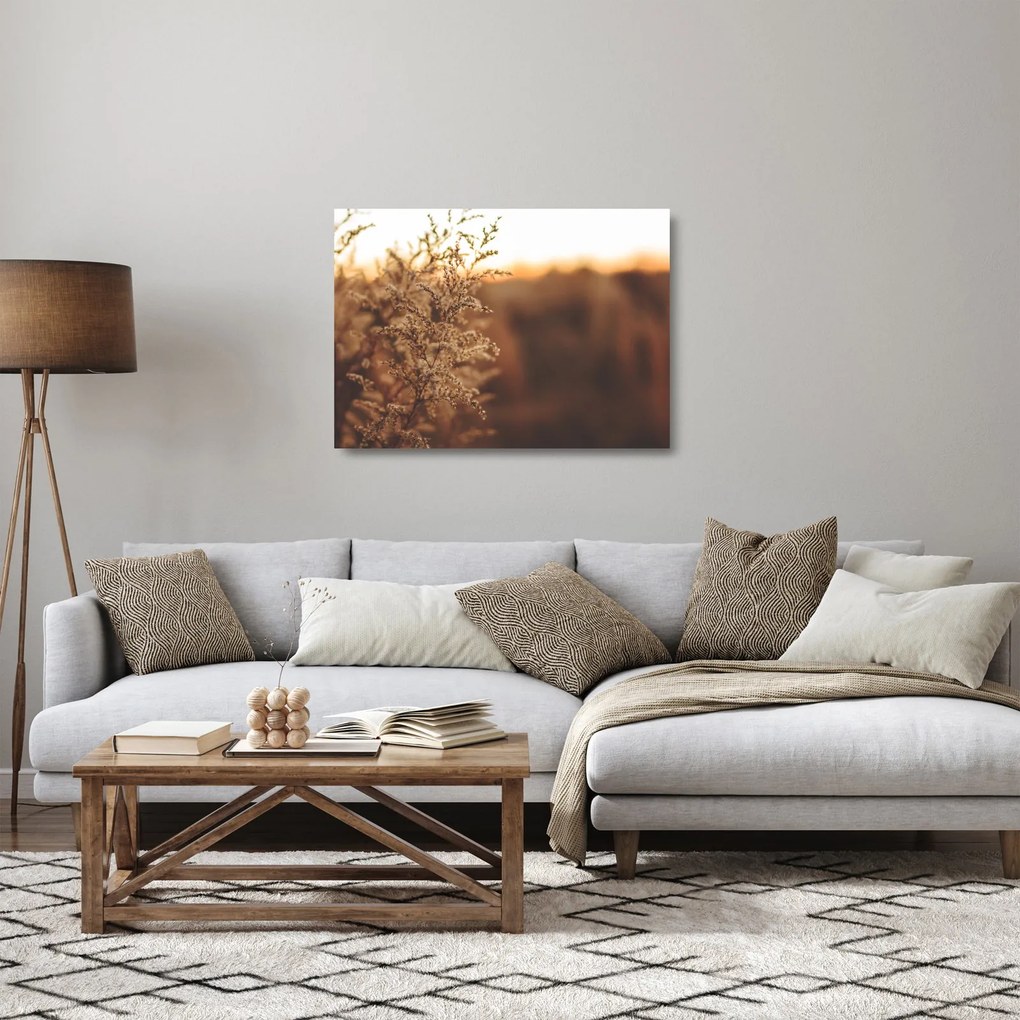 Sklenený obraz kvitnúcej trávy (70x50 cm)
