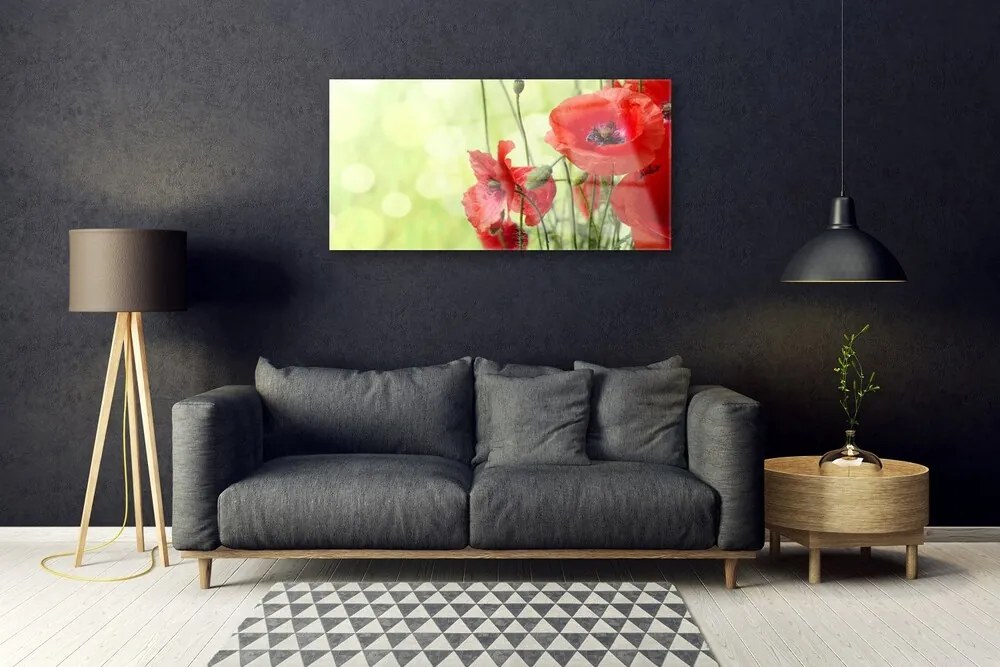 Skleneny obraz Maky kvety príroda 140x70 cm