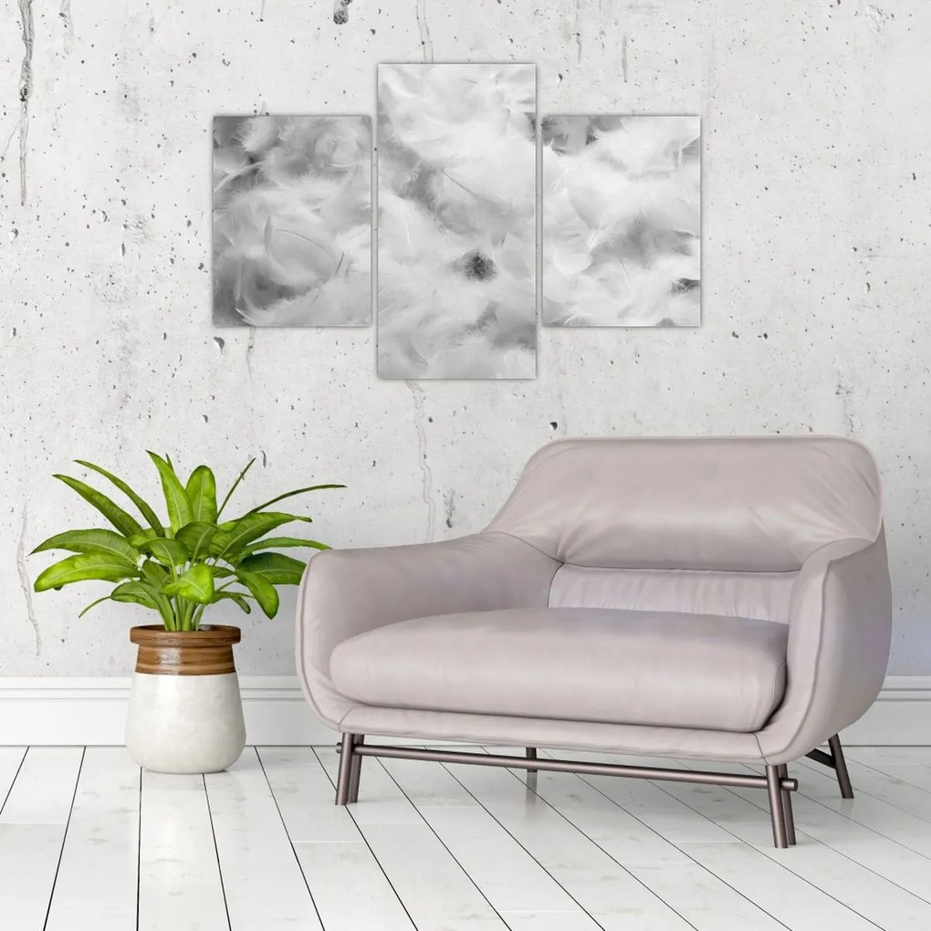 Obraz - Oblaky perie (90x60 cm)