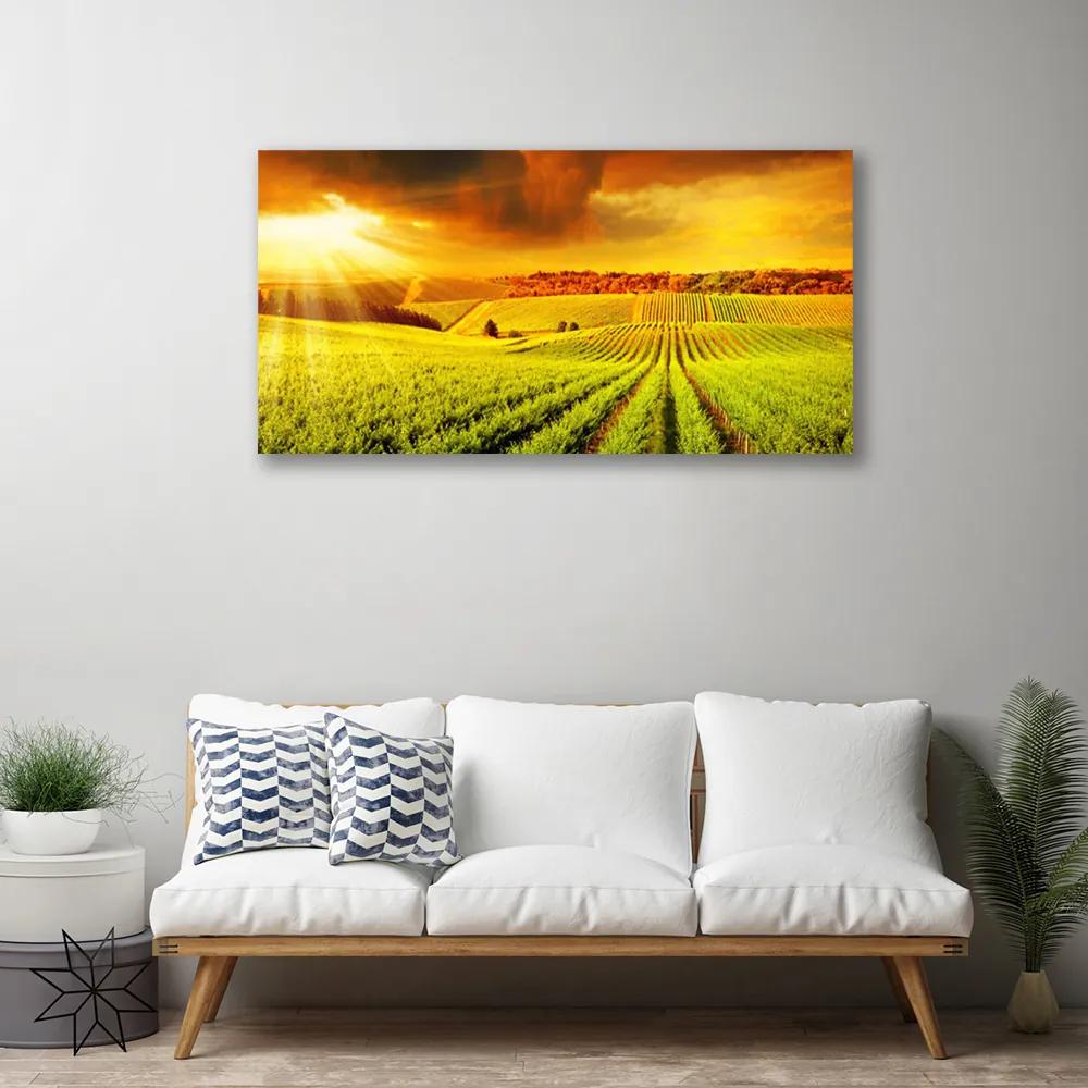 Obraz na plátne Pole západ slnka krajina 120x60 cm