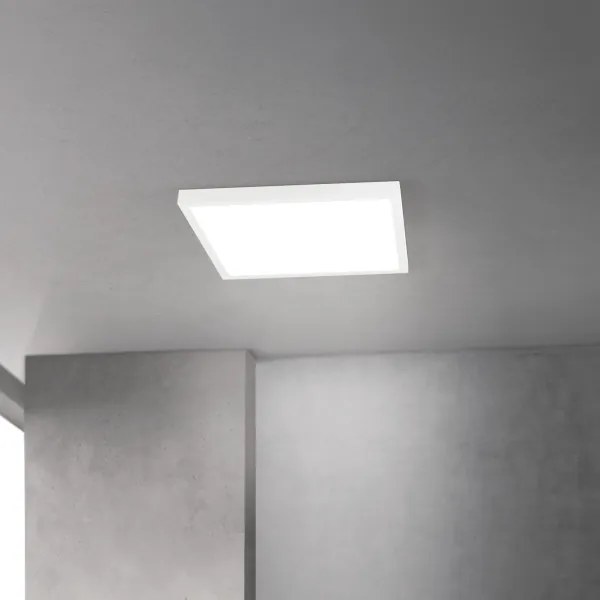 Orion - LED stmievateľné stropné svietidlo DISC LED/30W/230V 2700/3000/4000K 39x39 cm biela