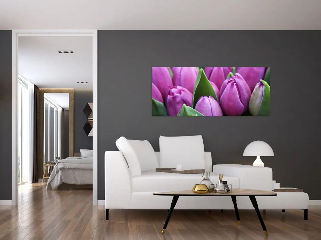 Obraz - kvety tulipánov (120x50 cm)