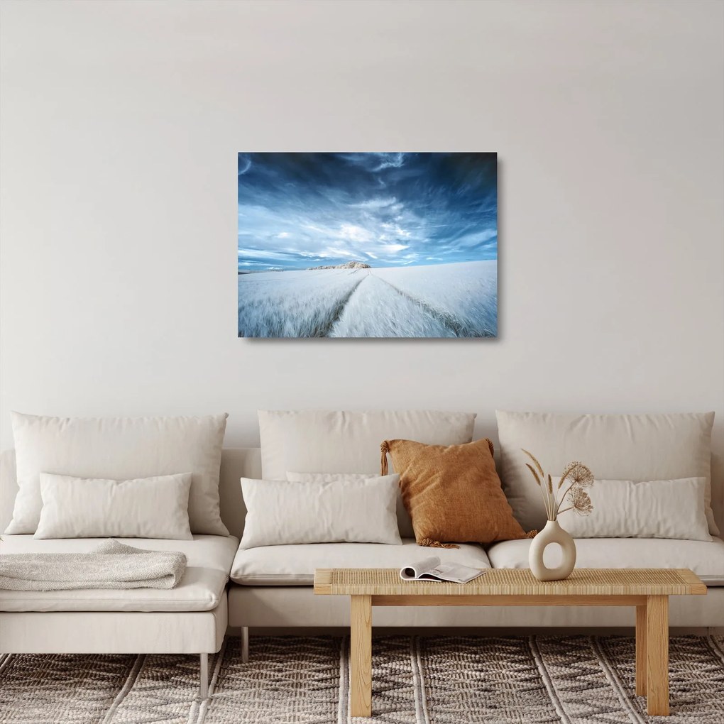 Sklenený obraz poľa (70x50 cm)
