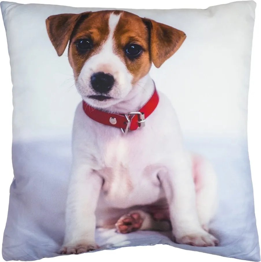 Jerry Fabrics Detský vankúšik s potlačou - Bluey - rodina | 40 x 40 cm