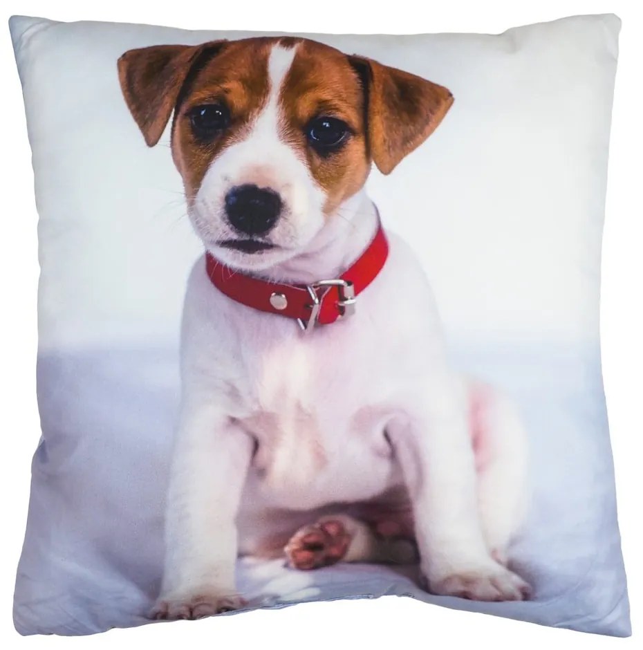 Jerry Fabrics Detský vankúšik s potlačou - Gabby a jej kúzelný domček - 02 | 40 x 40 cm