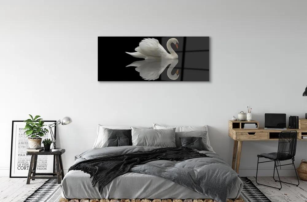 Obraz na akrylátovom skle Swan v noci 120x60 cm
