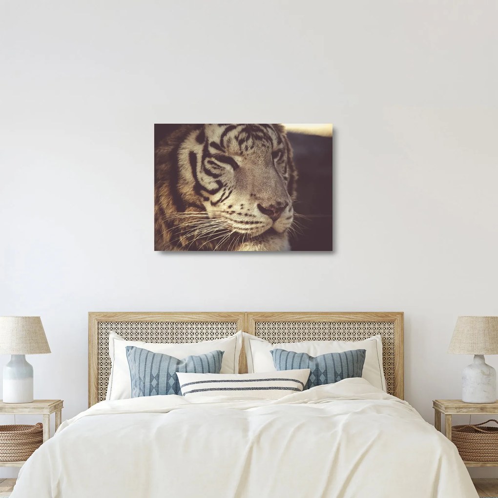 Sklenený obraz tigra (70x50 cm)