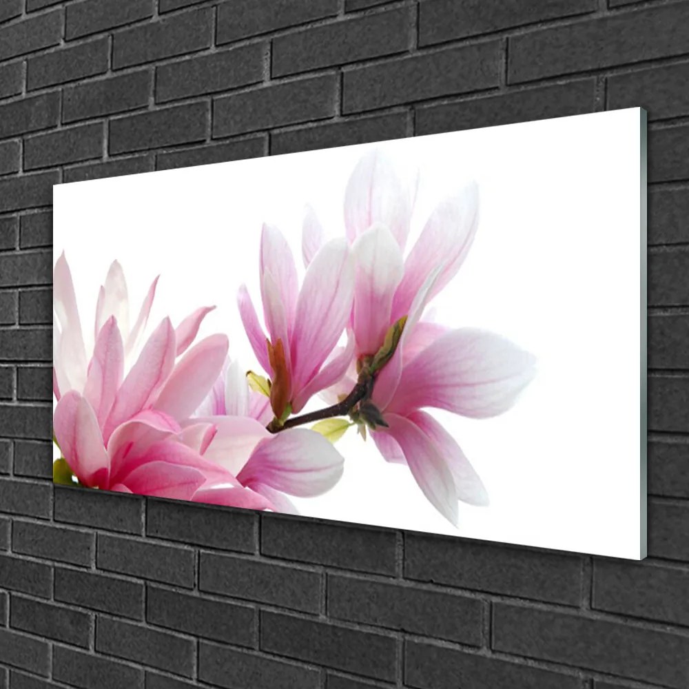 Obraz na skle Magnolie kvet 140x70 cm