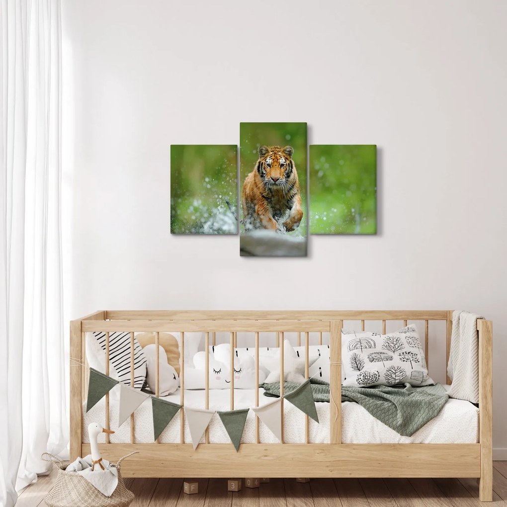 Obraz - Bežiaci tiger (90x60 cm)