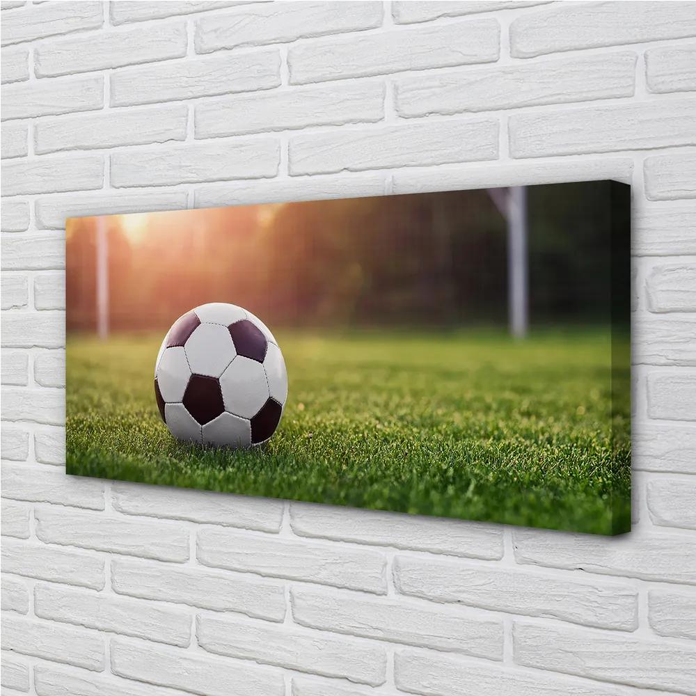 Obraz canvas Futbal tráva gateway 120x60 cm