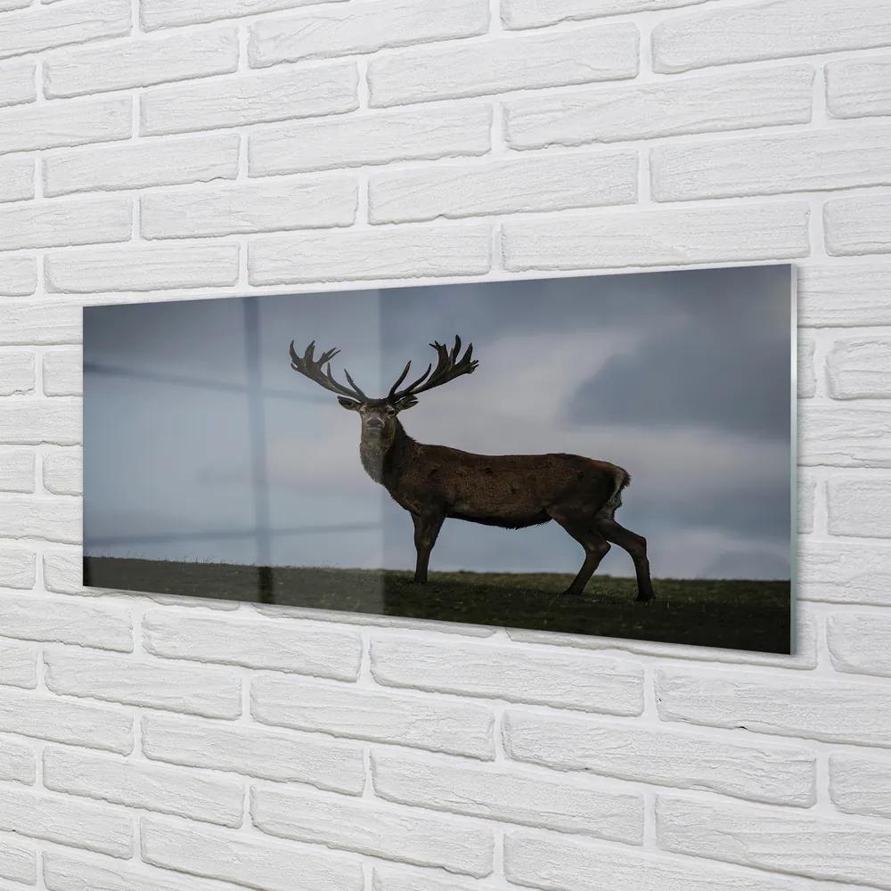 Obraz na akrylátovom skle Lúčenie so slobodou 120x60 cm