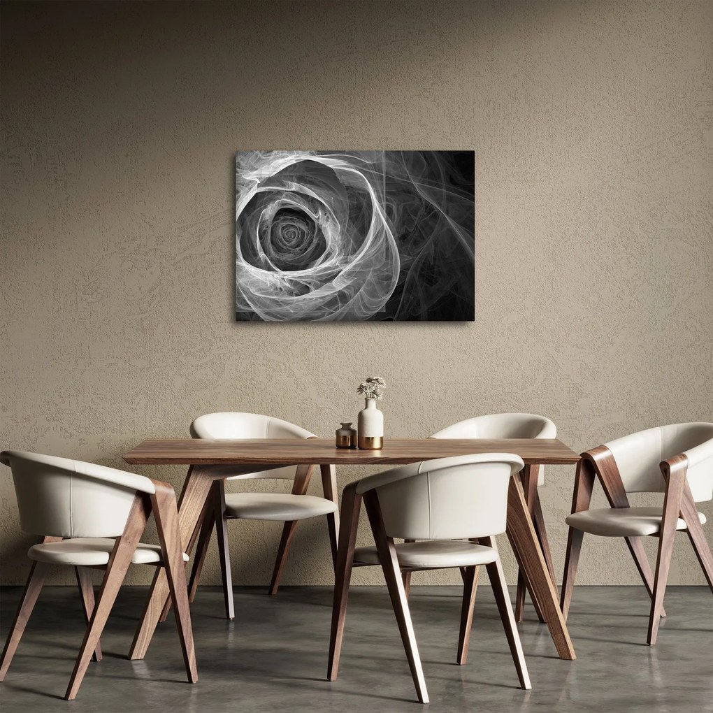 Obraz - Abstraktné ruže čiernobiela (70x50 cm)